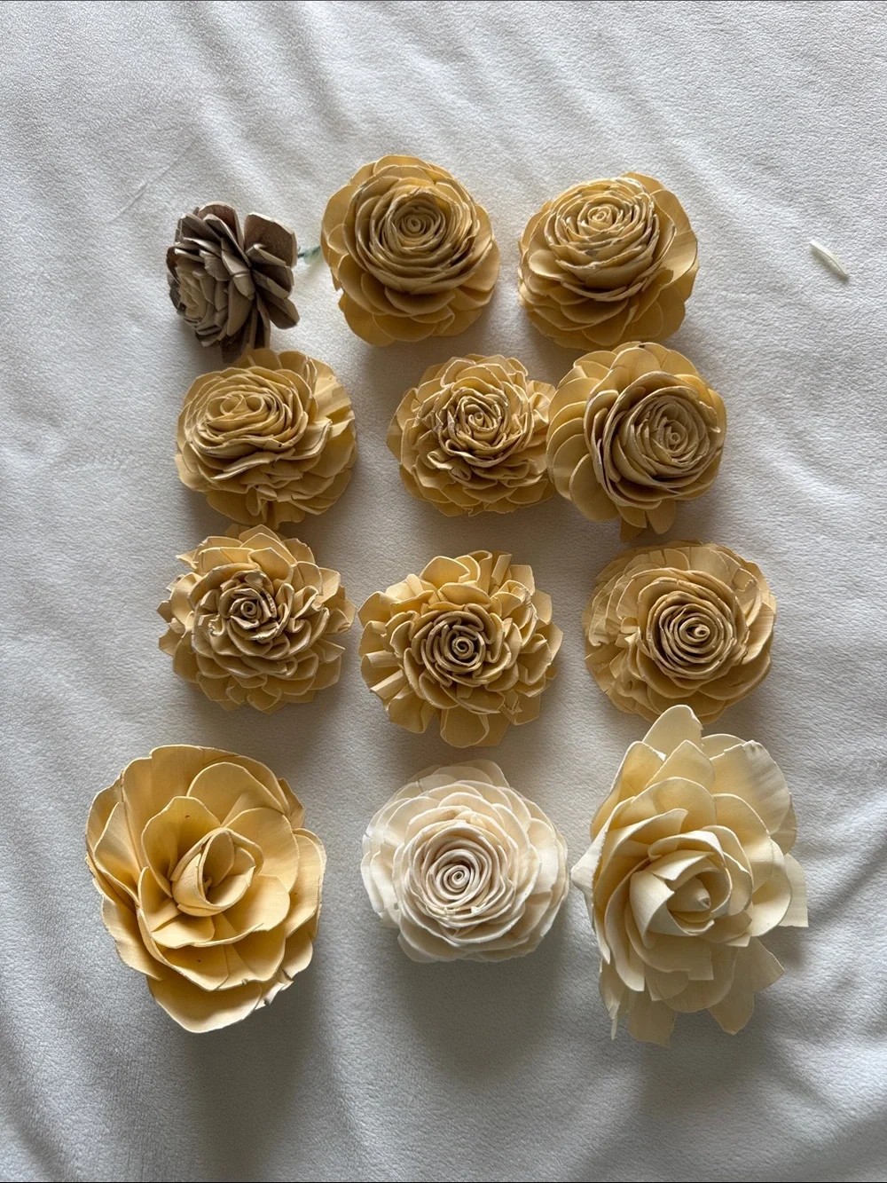 Wood Flowers